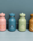 Bottle 350ml - Mr. Triceratops