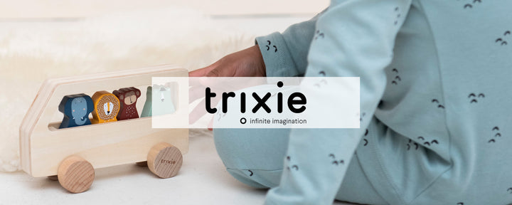 Trixie Singapore | Best Kids toy brands in Singapore