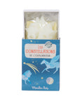 Les Grands Explorateurs Glow in the Dark Constellations