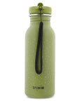 Bottle 500ml - Mr. Dino