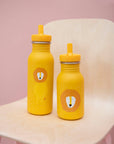 Bottle 500ml - Mr. Lion