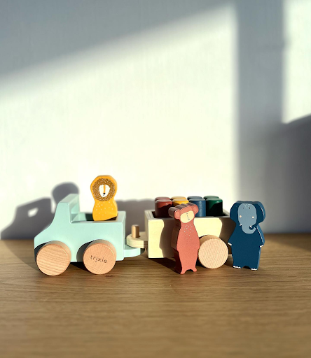 Green Playtime: How Wooden Toys Benefit the Planet and Your Child