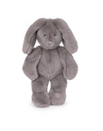Arthur et Louison Rabbit