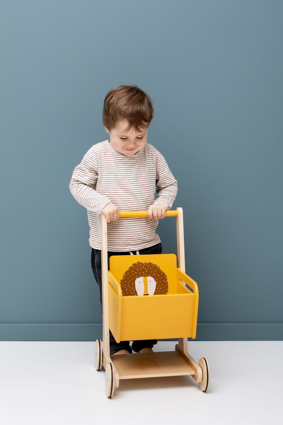 Wooden Shopping Cart - Mr. Lion