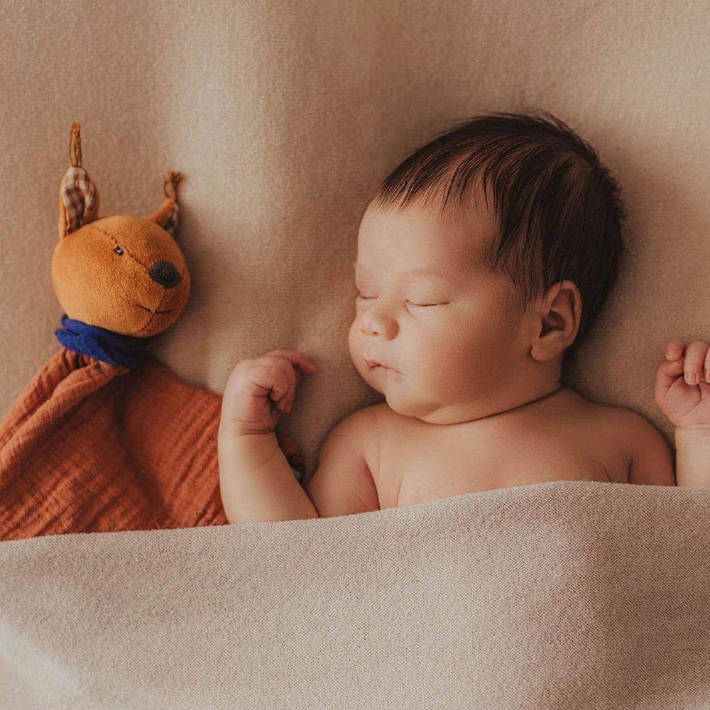 Pomme des Bois Muslin Comforter Squirrel