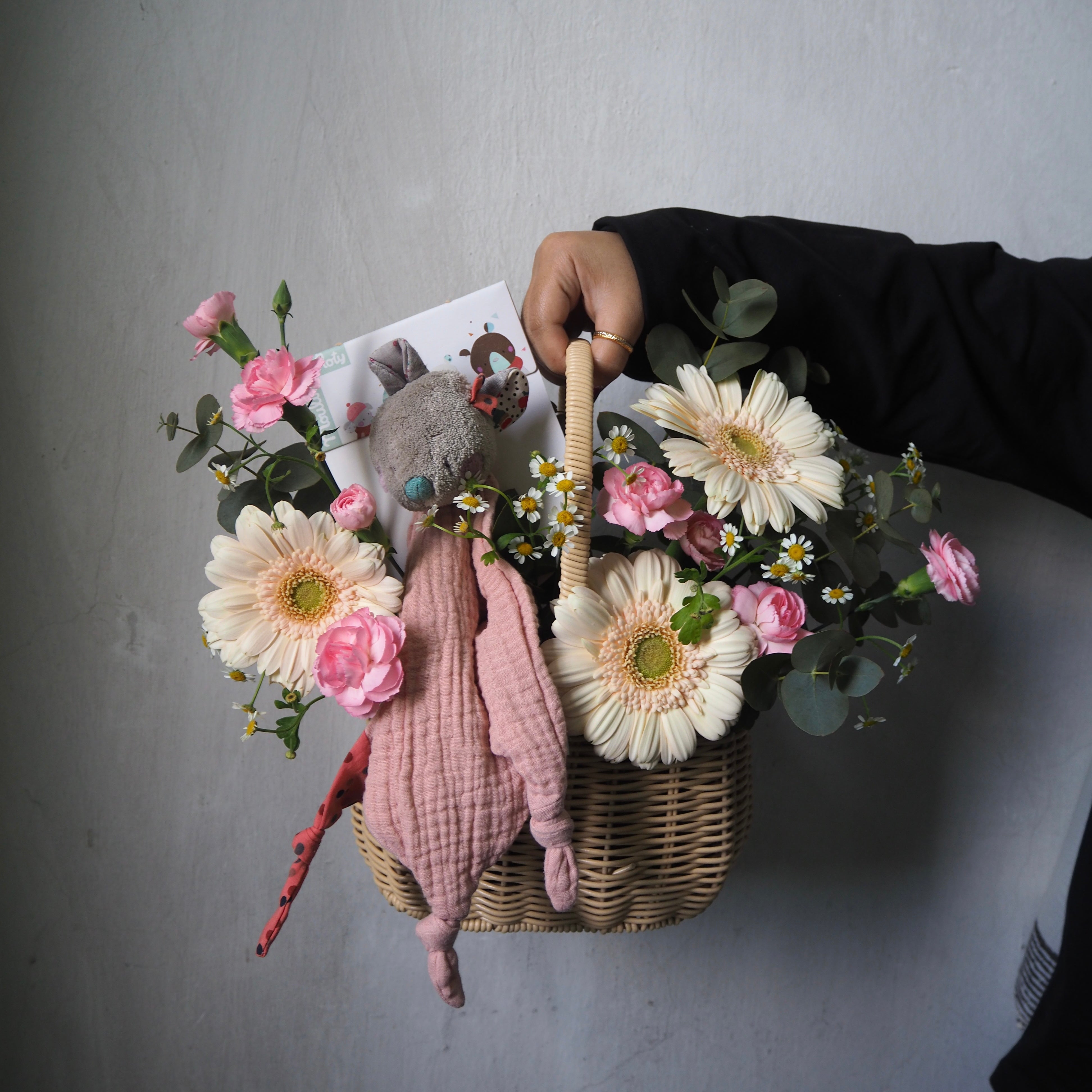 Tiny Wonder Newborn Basket
