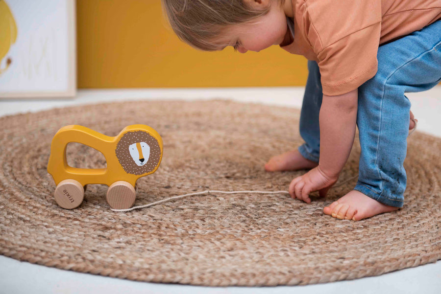 Wooden Pull-along Toy - Mr. Lion