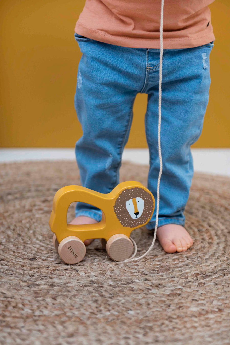 Wooden Pull-along Toy - Mr. Lion