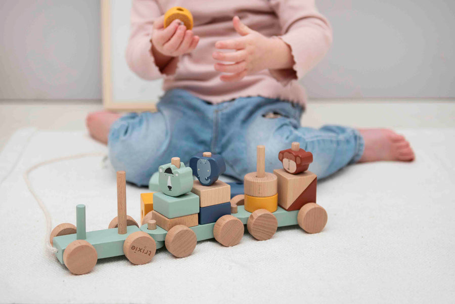 Wooden Animal Train