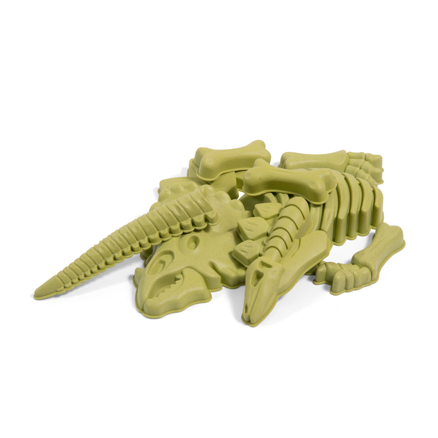 Aujourd'hui C'est Mercredi Dinosaur Beach Toy