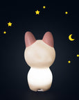 Après La Pluie Cat USB Night Light