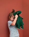 Plush Toy Large - Mr. Crocodile