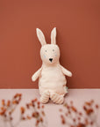 Plush Toy Small - Mrs. Rabbit