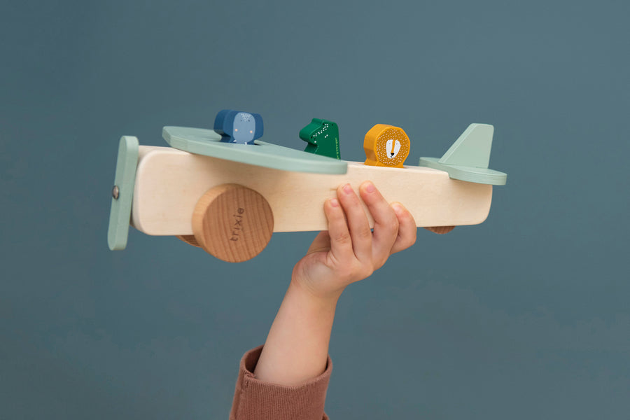 Wooden Animal Airplane