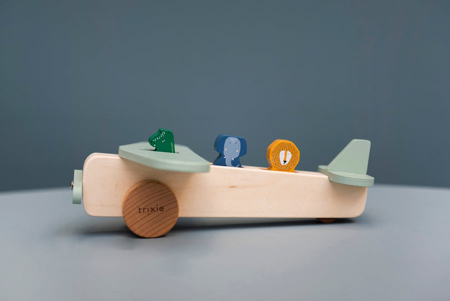 Wooden Animal Airplane