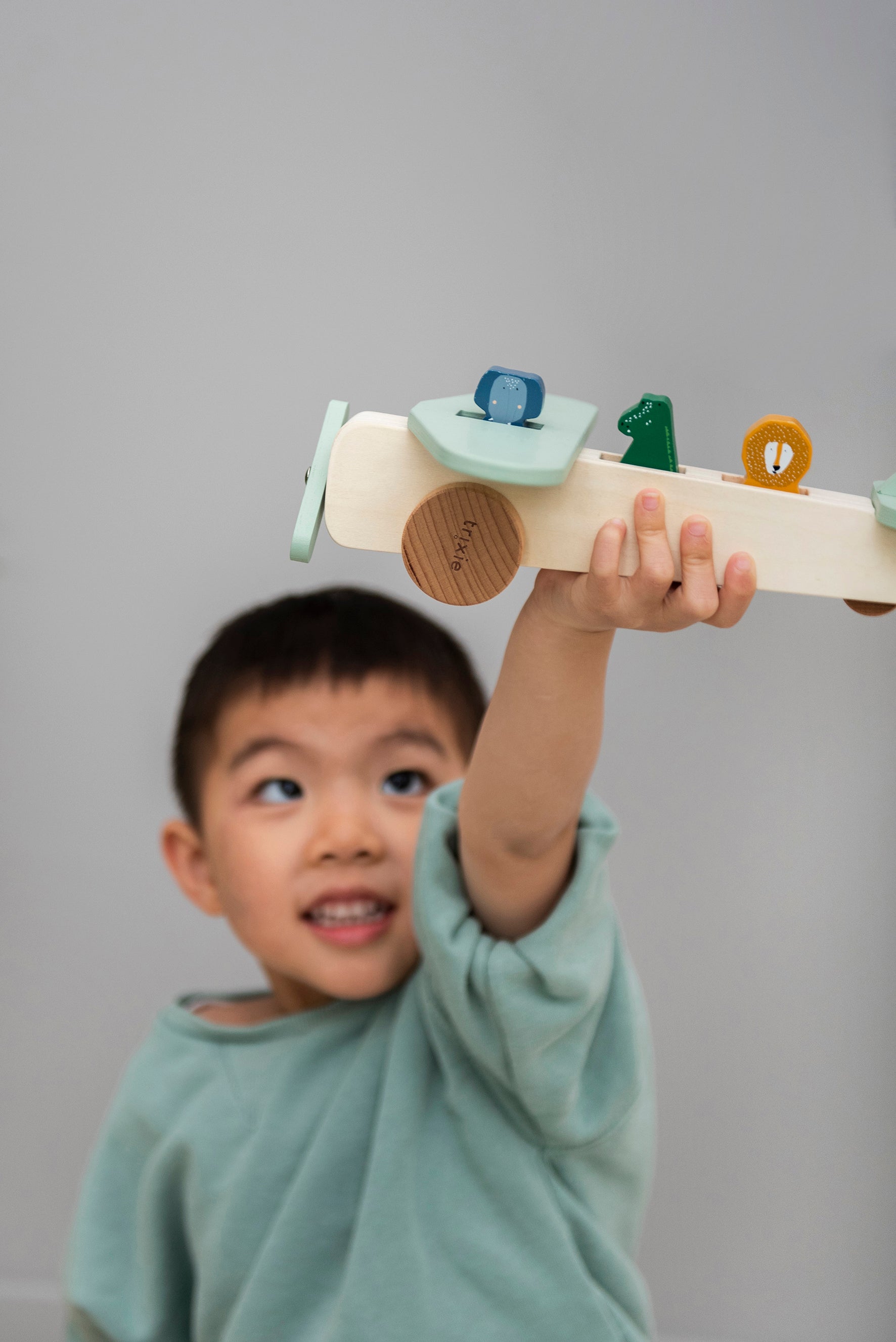 Wooden Animal Airplane