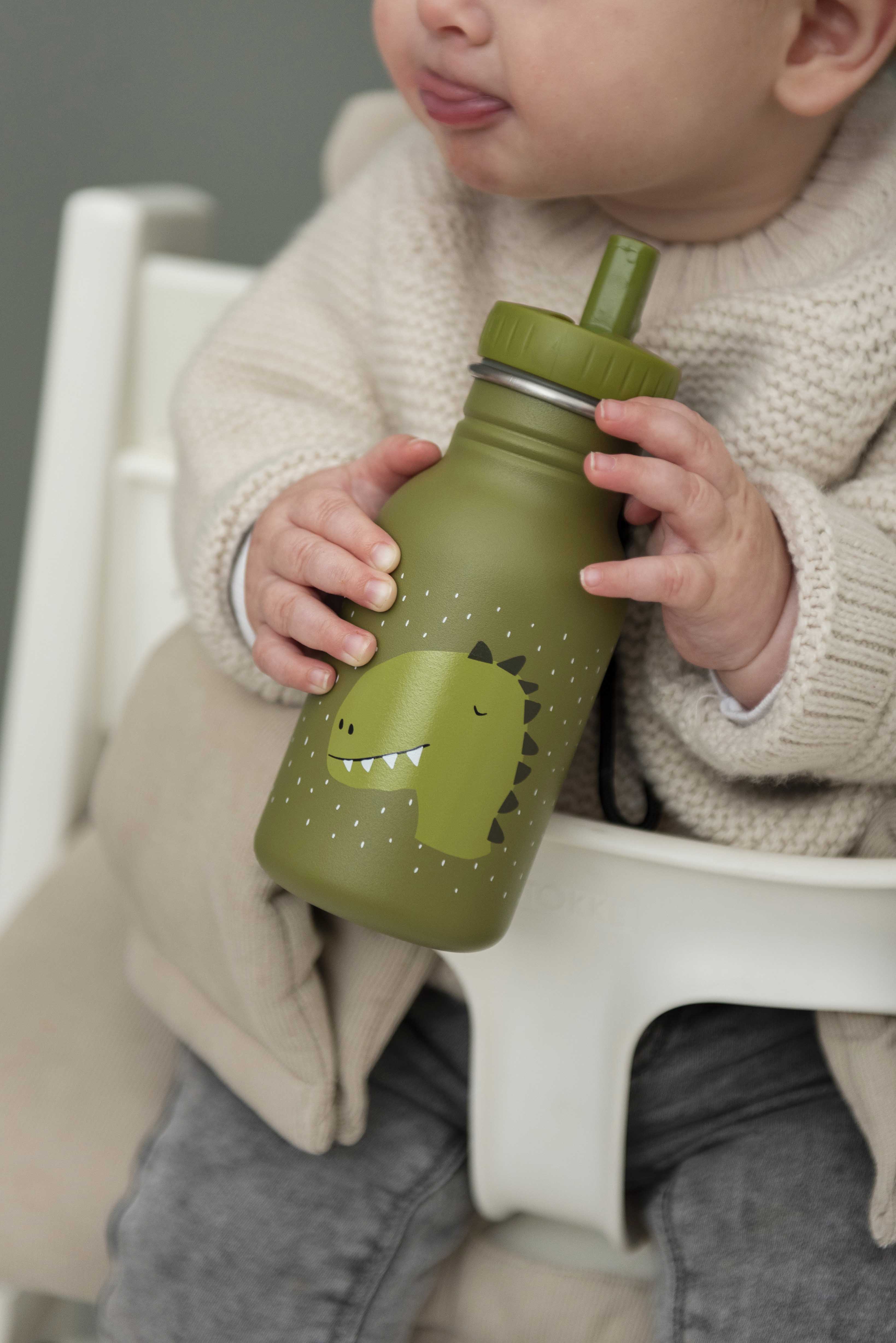 Bottle 350ml - Mr. Dino