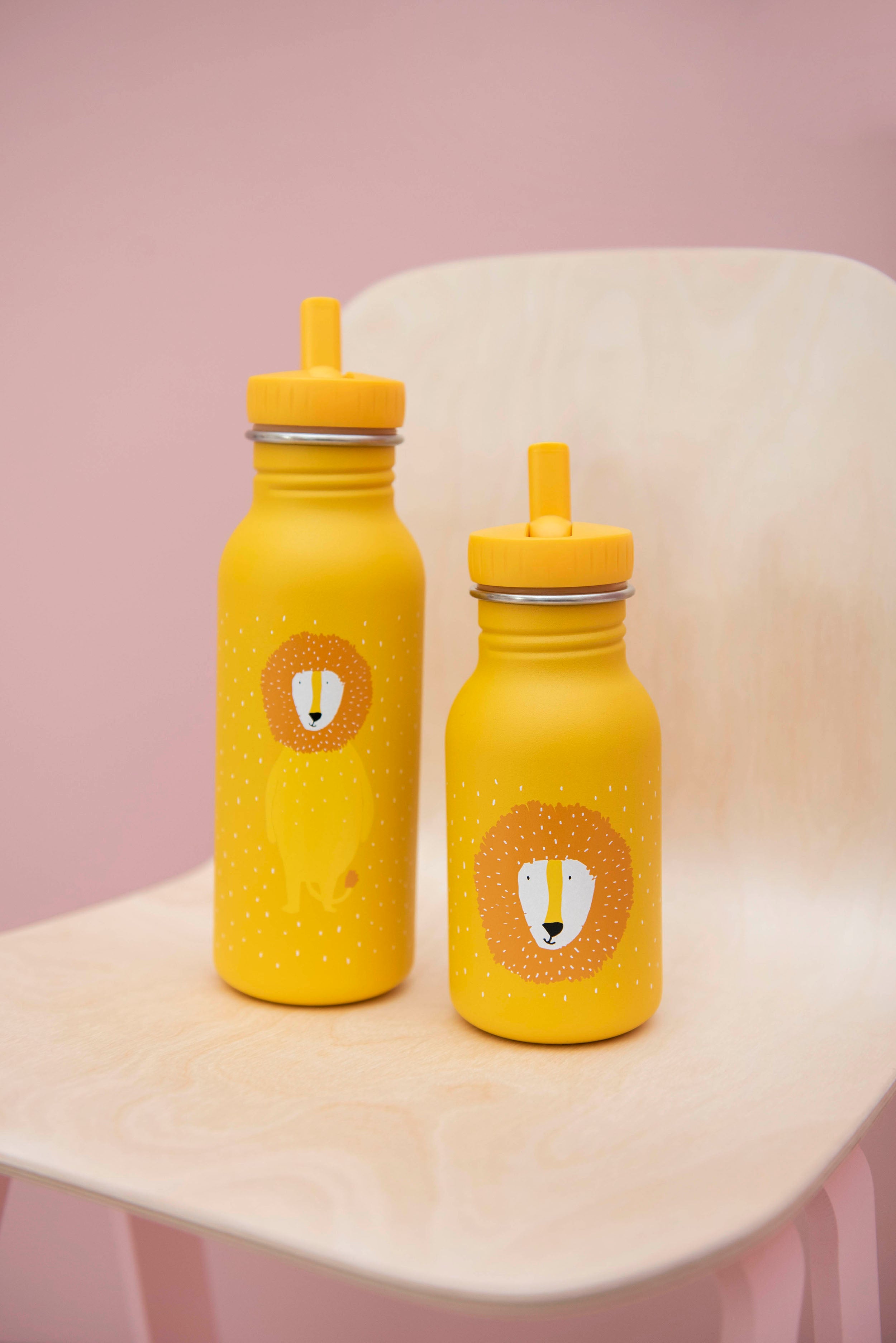 Bottle 500ml - Mr. Lion