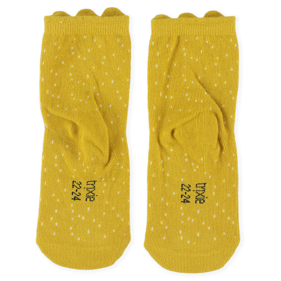 Socks 2-pack - Mr. Lion